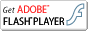 flashPlayer_downloader
