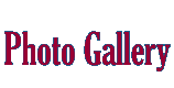 photo gallery